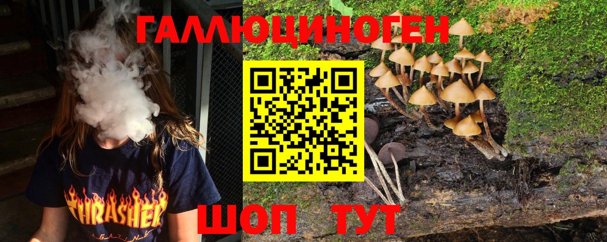 Йошкар-Ола  Галлюциногенные грибы MAGIC MUSHROOMS  Вход с VPN 